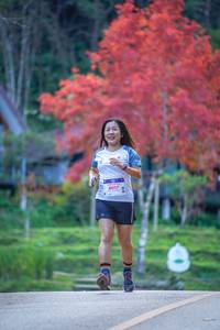 BIB: 8017
                            <button type="button" onclick="openModal(19242218)" class="btn btn-primary btn-sm float-right btn-popup" data-toggle="modal" data-target=".modal-high-quality">
                        <i class="fas fa-shopping-cart"></i> Add to Cart
                    </button>
                                            <button type="button" onclick="isThisMe(19242218, true)" class="btn btn-success btn-sm float-right btn-popup btn-isme hidden" data-toggle="tooltip" data-placement="bottom" title="นี่คือรูปของคุณใช่ไหม คลิกที่นี่เพื่อเอาเข้าอัลบั้ม">
                        <i class="fas fa-plus"></i> Add to album
                    </button>
                    <button type="button" onclick="isThisMe(19242218, false)" class="btn btn-warning btn-sm float-right btn-popup btn-isnotme hidden">
                        <i class="fas fa-ban"></i> Remove from album
                    </button>